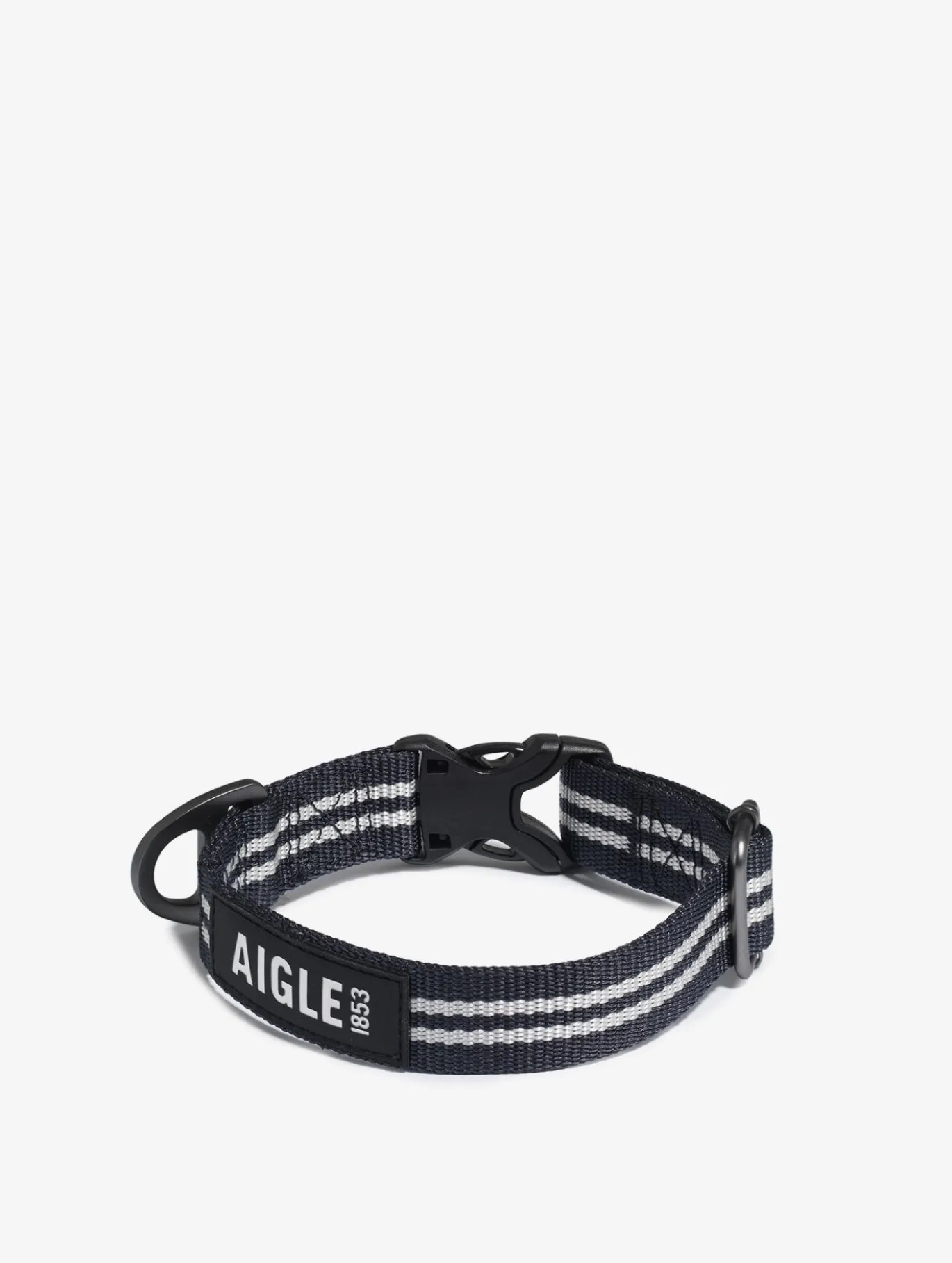 Collier pour chien - Bleu
