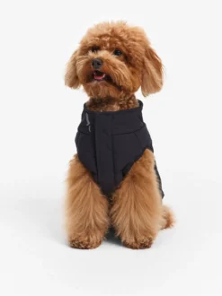 Doudoune Repreve® déperlante pour chien - Noir