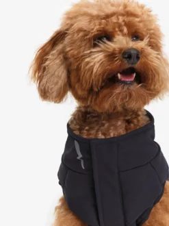 Doudoune Repreve® déperlante pour chien - Noir