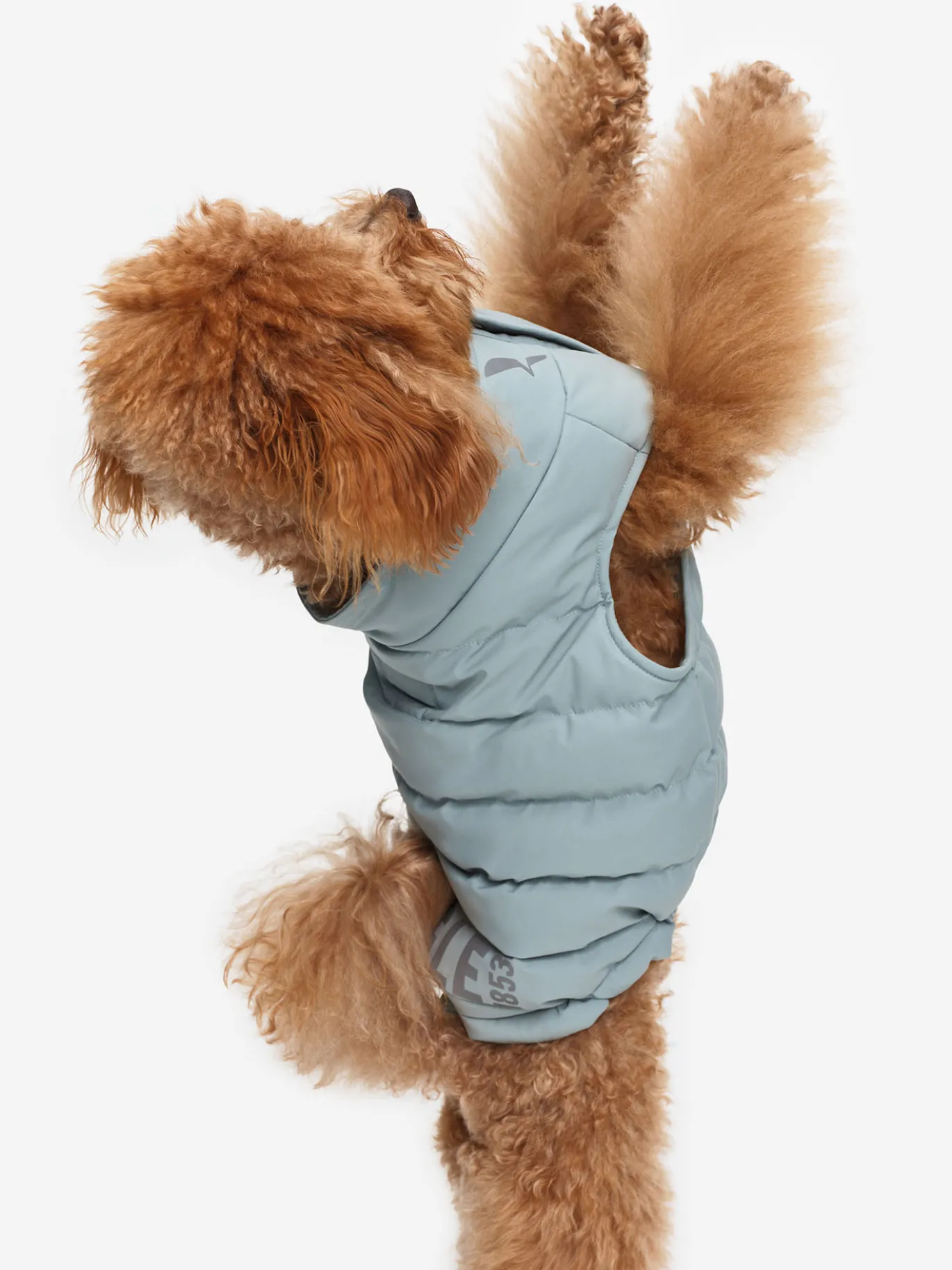 Doudoune Repreve® déperlante pour chien - Bleu