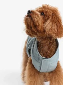 Doudoune Repreve® déperlante pour chien - Bleu