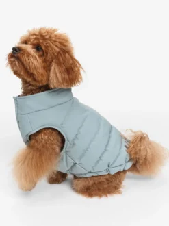 Doudoune Repreve® déperlante pour chien - Bleu