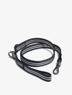 Laisse pour chien - Bleu