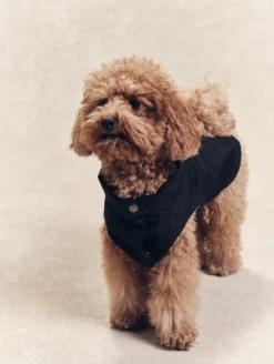 Parka Rainpack™ pour chien - pliable et imperméable - Noir