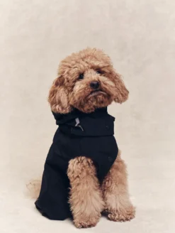 Parka Rainpack™ pour chien - pliable et imperméable - Noir