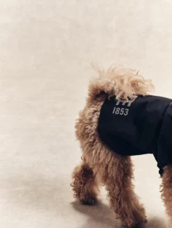 Parka Rainpack™ pour chien - pliable et imperméable - Noir