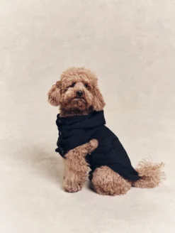 Parka Rainpack™ pour chien - pliable et imperméable - Noir