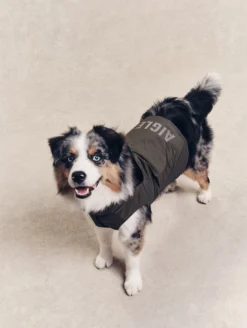 Parka Rainpack™ pour chien - pliable et imperméable - Kaki