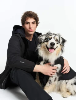 Rainpack™ chaude Repreve® et imperméable pour chien - Noir