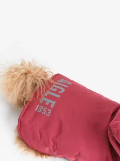 Rainpack™ chaude Repreve® et imperméable pour chien - Rouge