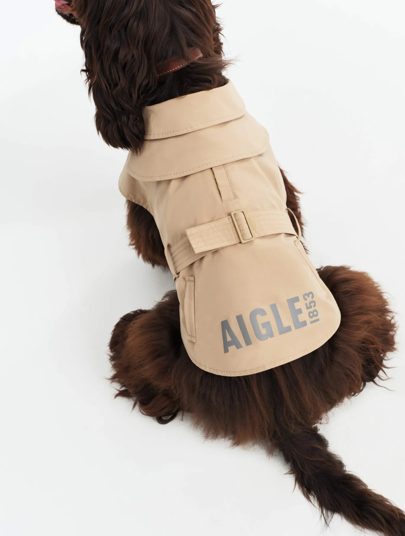 Trench déperlant pour chien - Beige