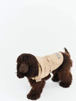 Trench déperlant pour chien - Beige