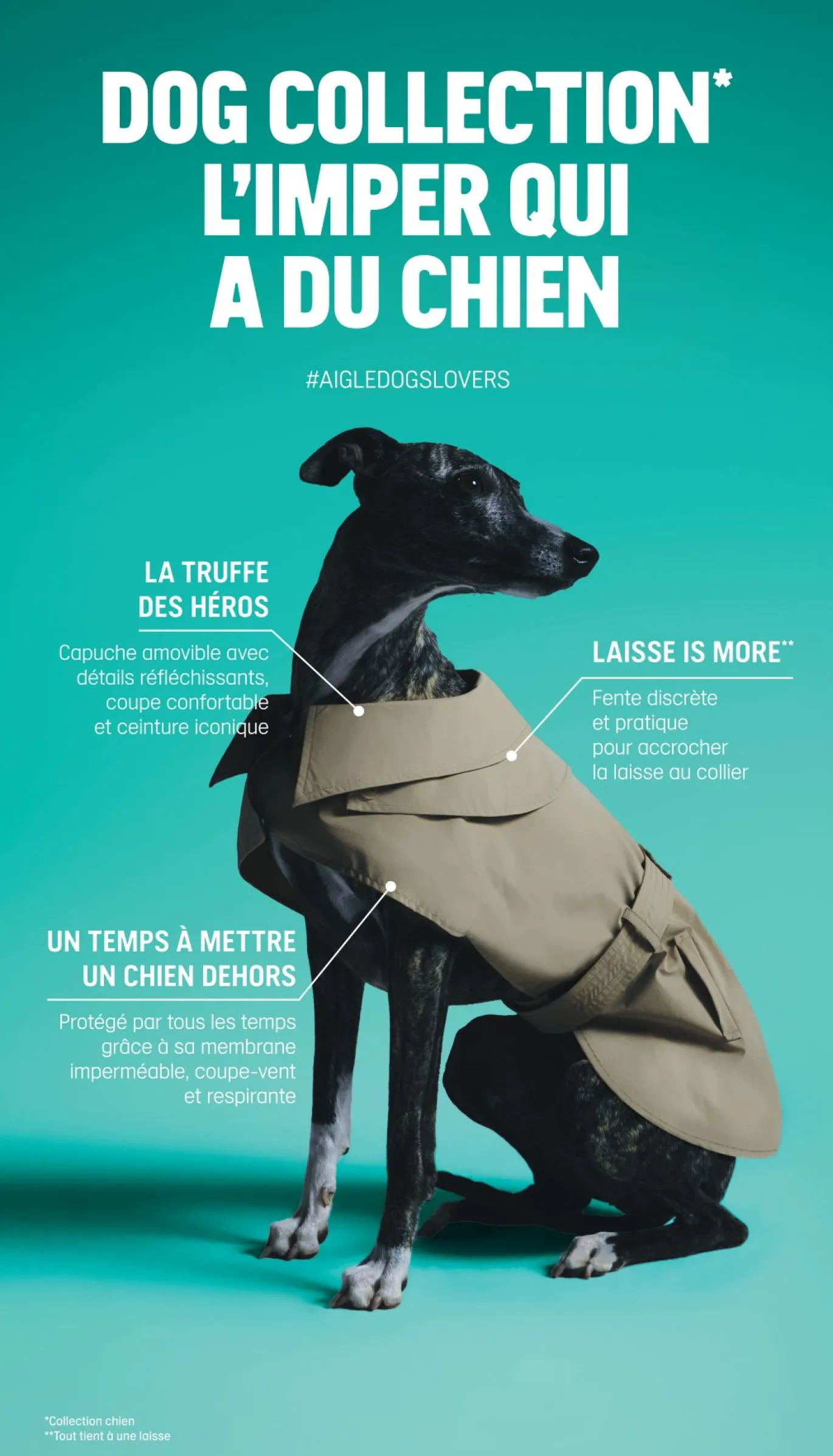 Trench déperlant pour chien - Beige