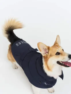 Trench déperlant pour chien - Bleu