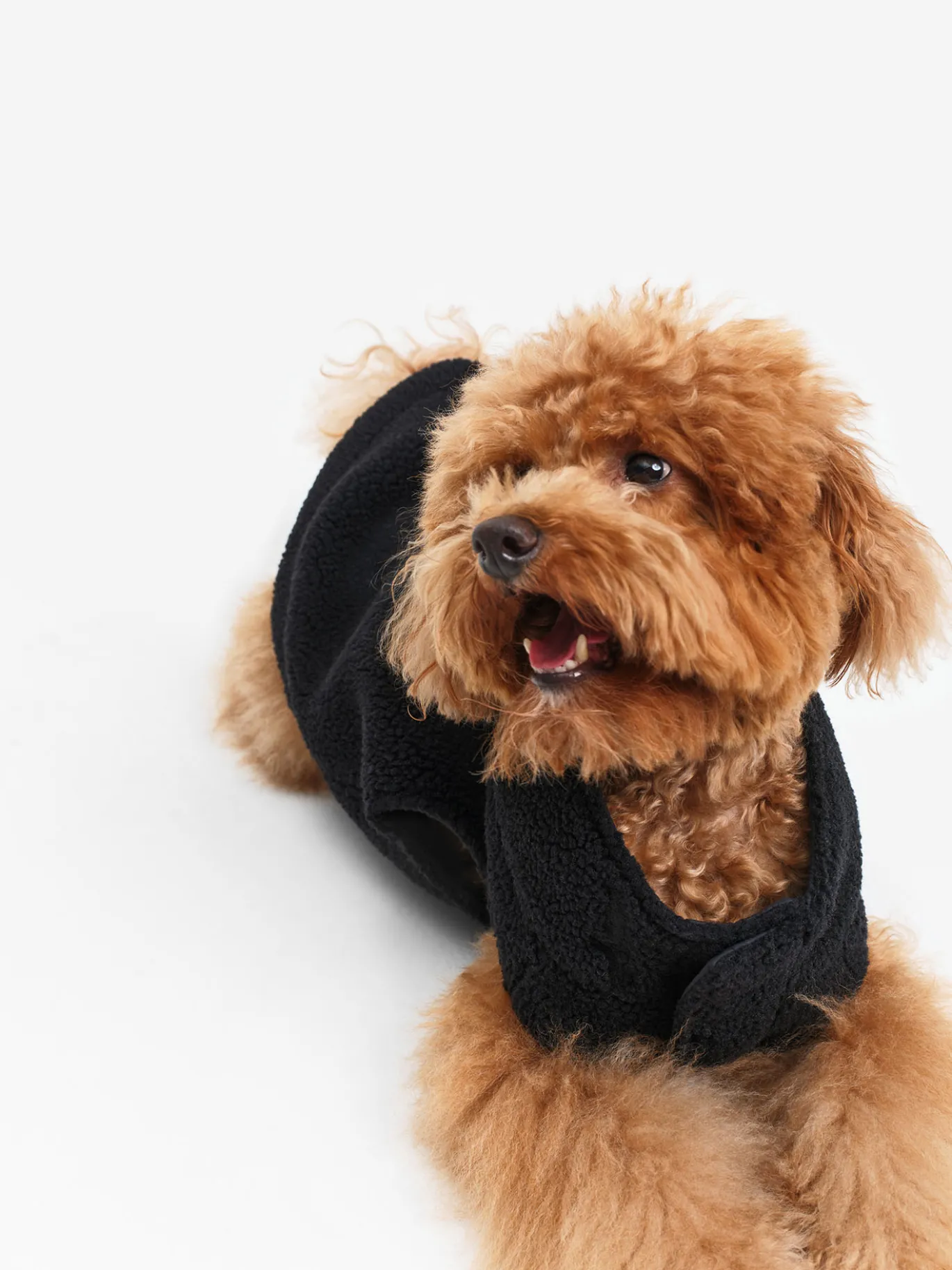 Veste sherpa pour chien - Noir