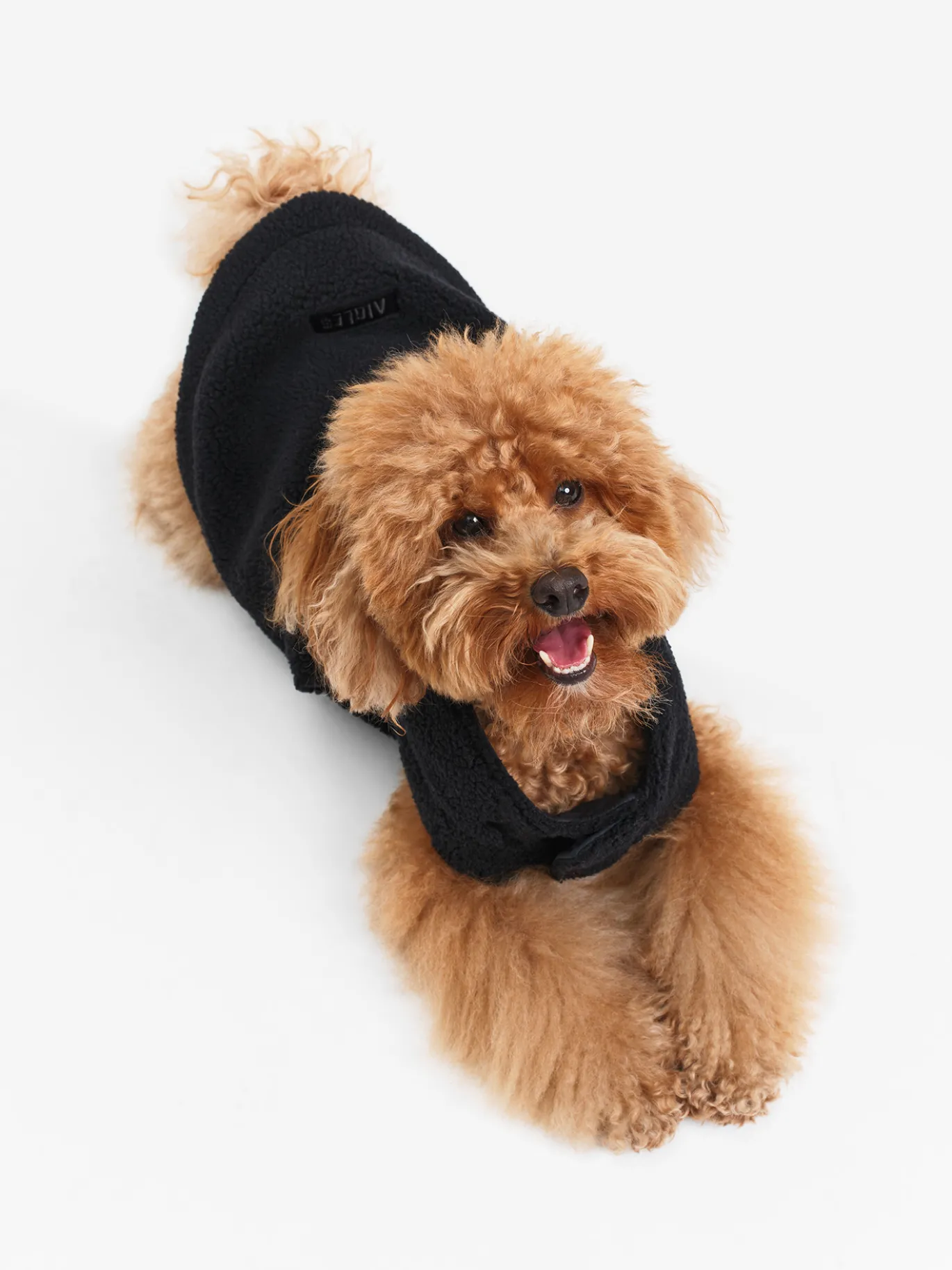 Veste sherpa pour chien - Noir